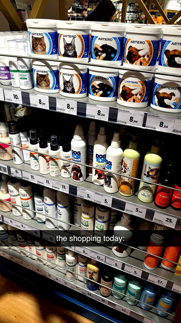 chantellemsia snapchat image archive image