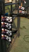 chantellemsia Altpins Profile Picture