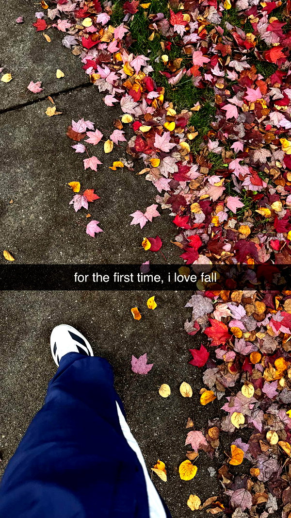 chantellemsia snapchat image archive image