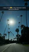 chantellemsia Altpins Profile Picture