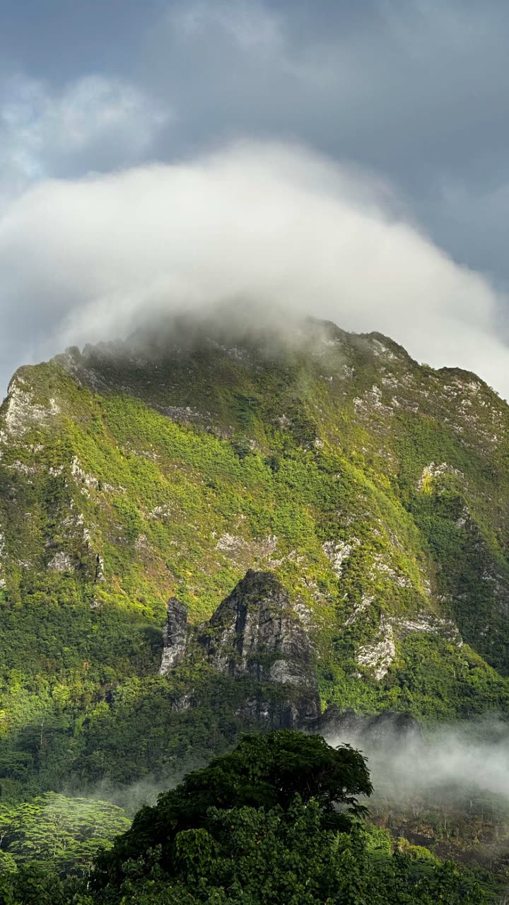 chloerosenbaum snapchat image archive image