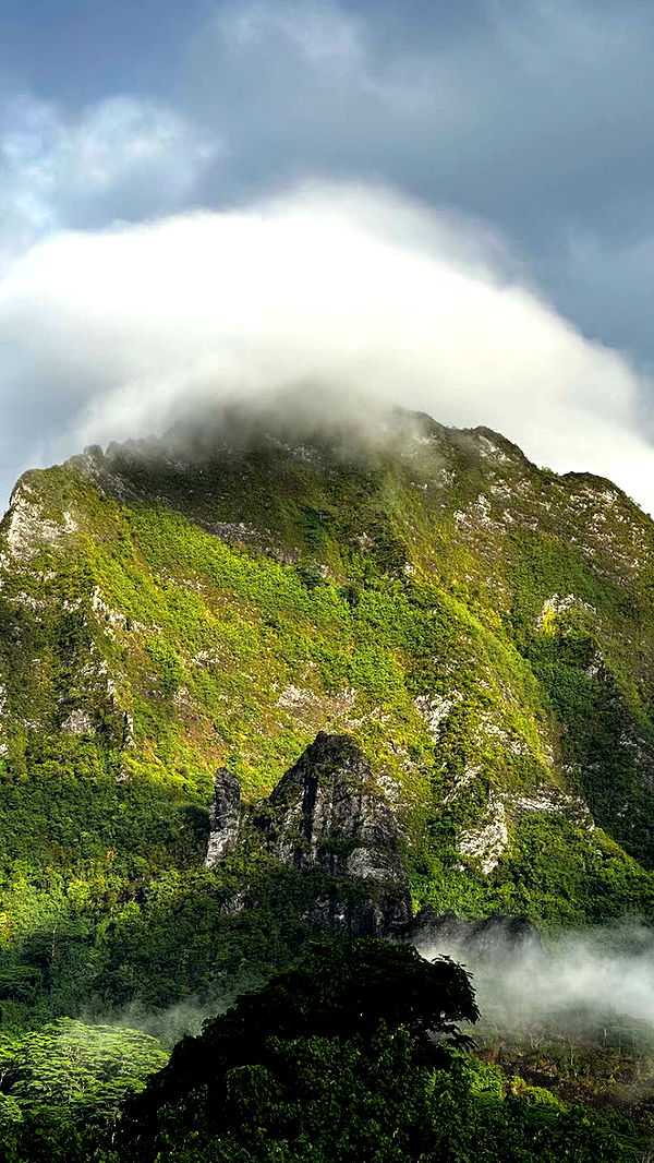 chloerosenbaum image ~ Altpins