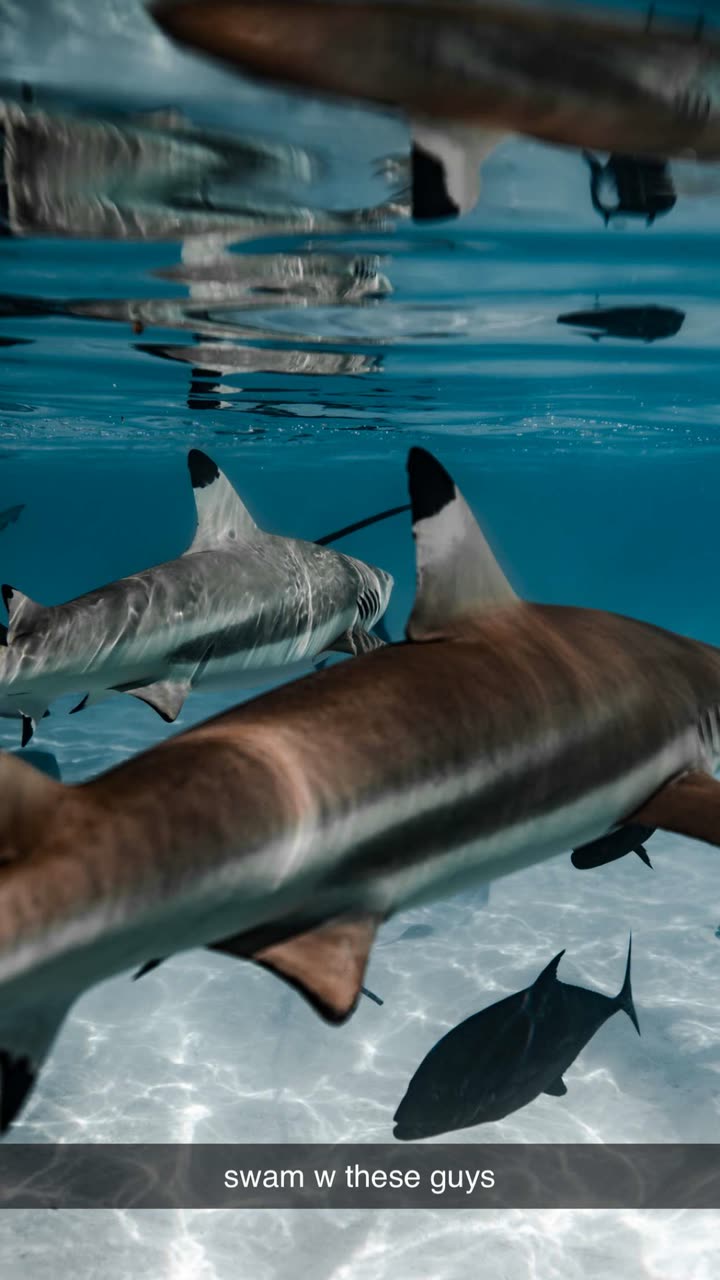 chloerosenbaum snapchat image archive image