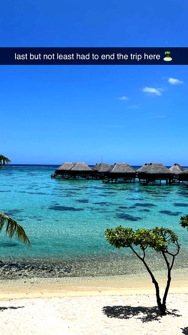 chloerosenbaum image ~ Altpins