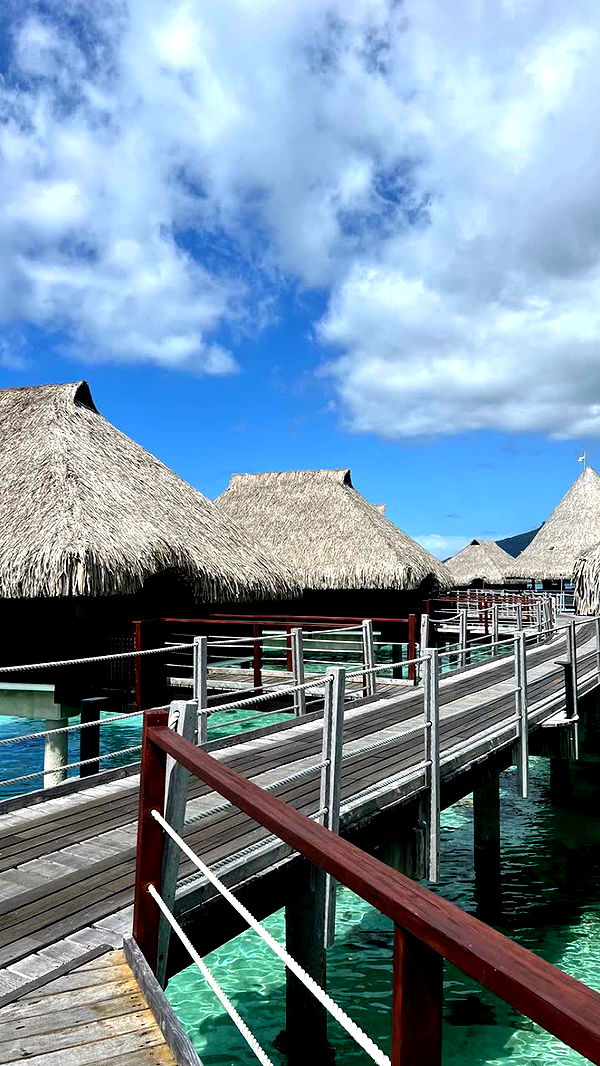 chloerosenbaum image ~ Altpins