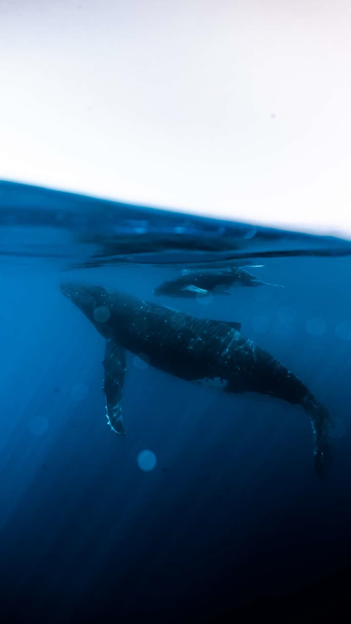 chloerosenbaum snapchat image archive image