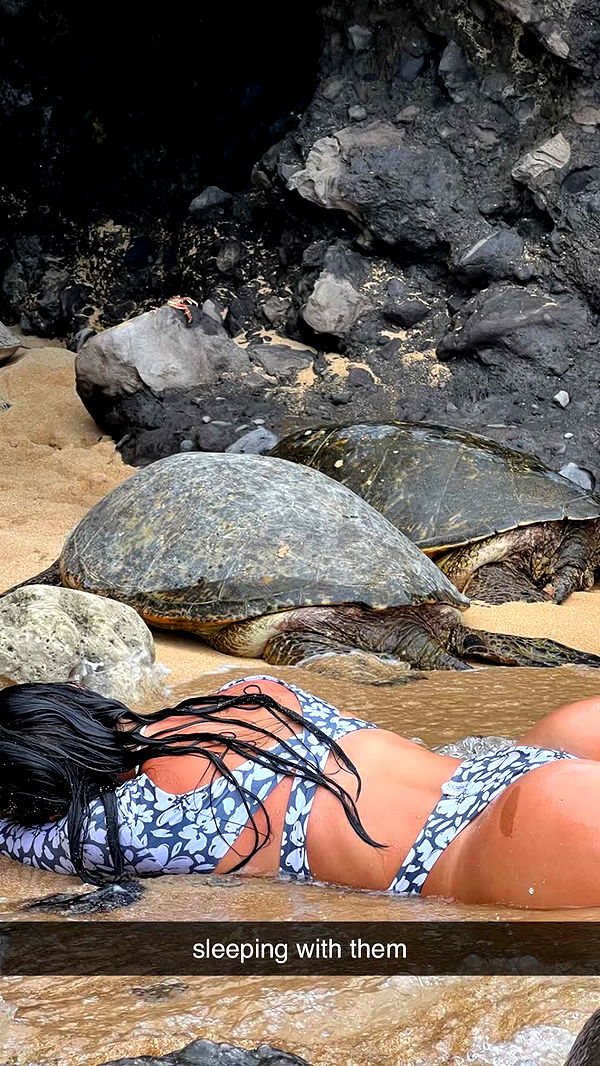 chloerosenbaum image ~ Altpins