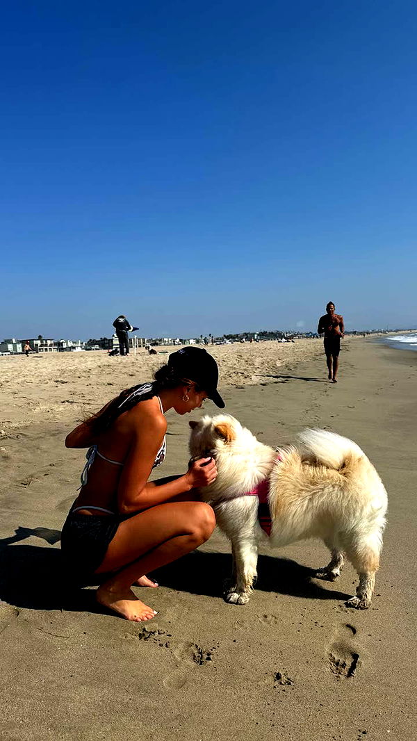 chloerosenbaum image ~ Altpins