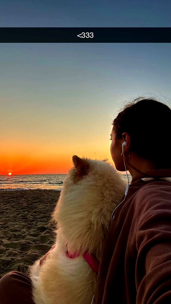 chloerosenbaum image ~ Altpins