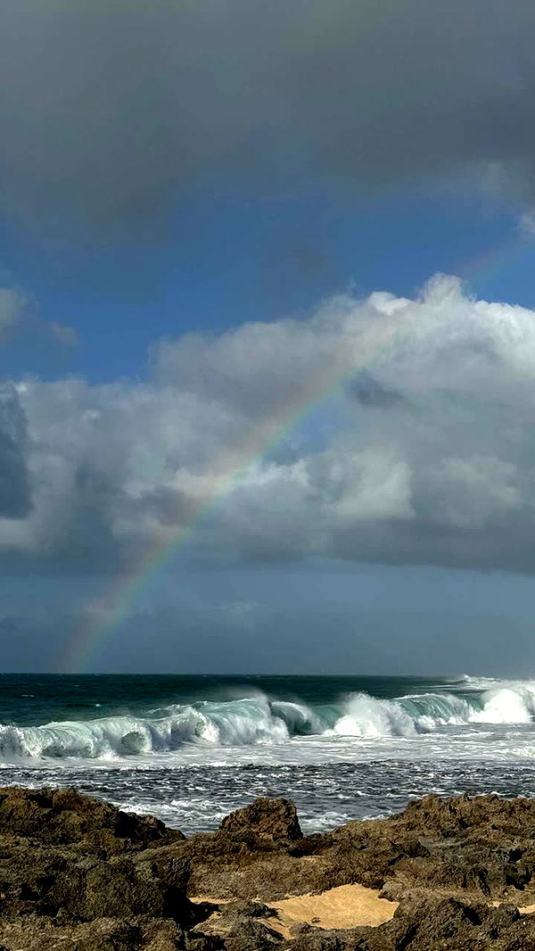 chloerosenbaum image ~ Altpins