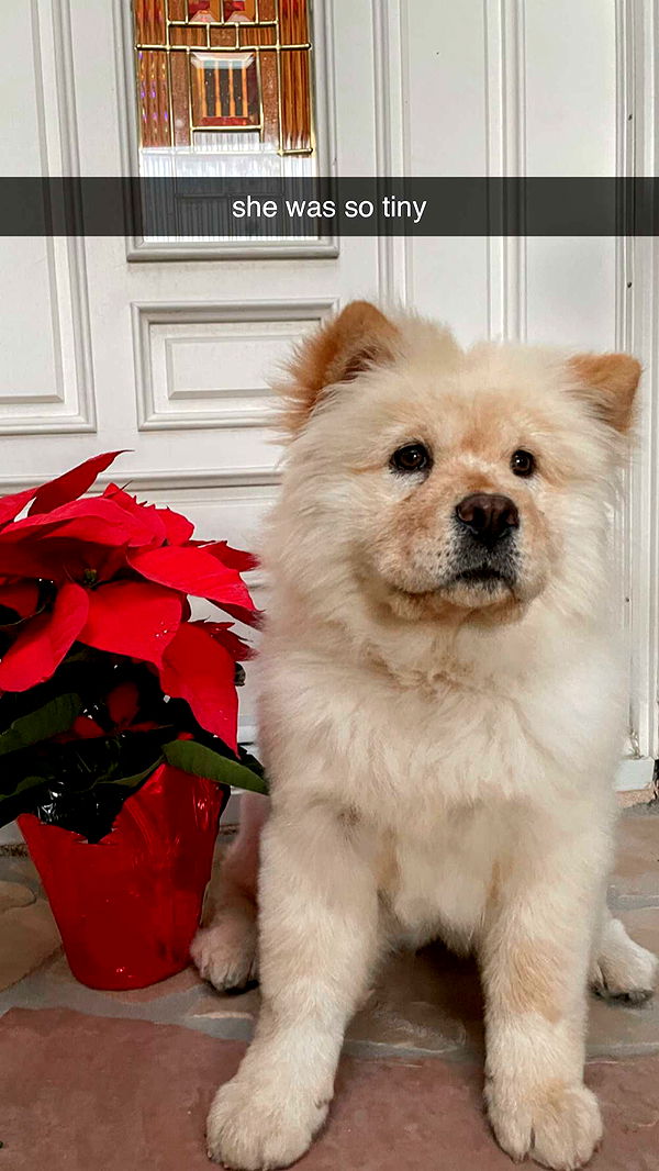 chloerosenbaum image ~ Altpins