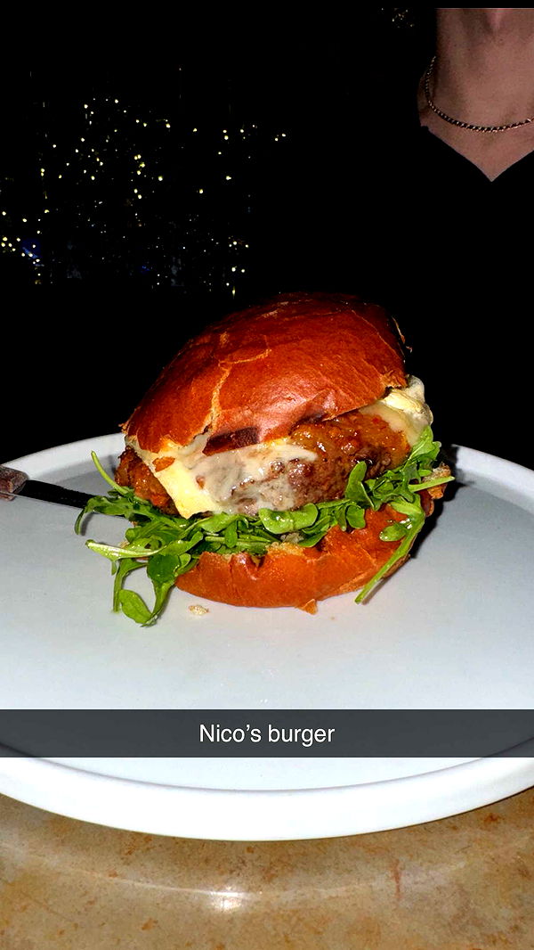 chloerosenbaum image ~ Altpins