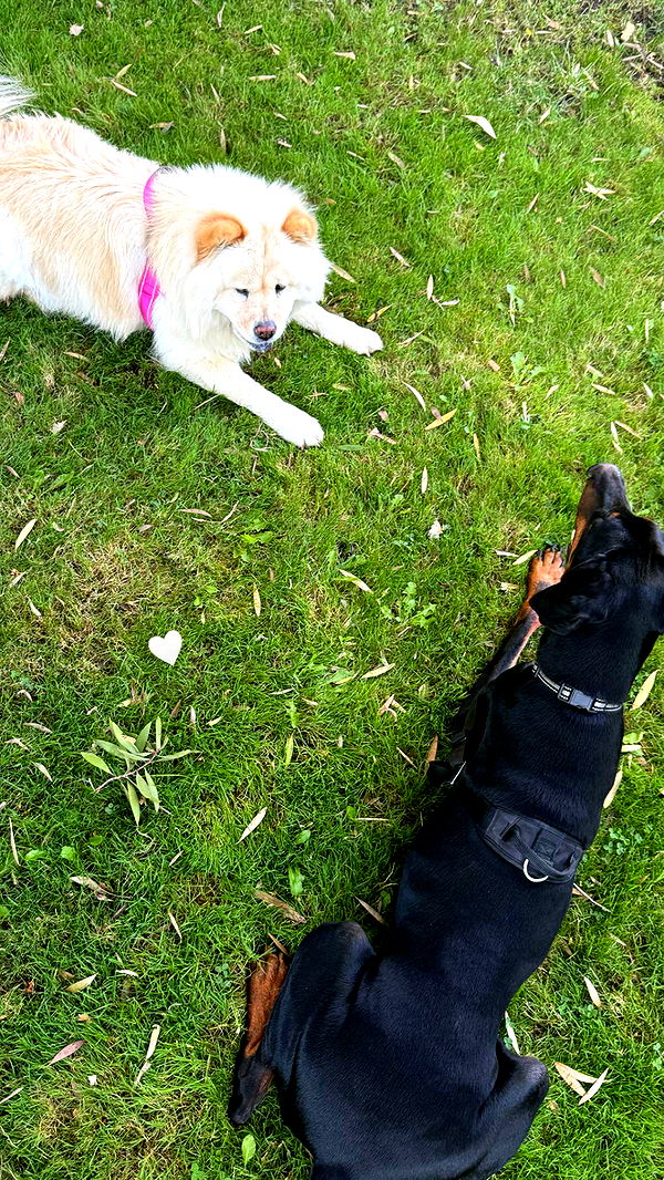 chloerosenbaum image ~ Altpins