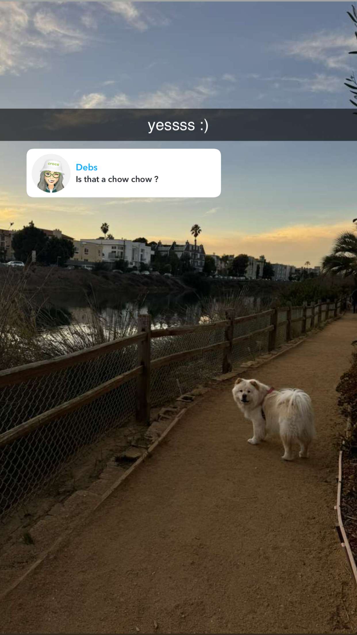 chloerosenbaum snapchat image archive image