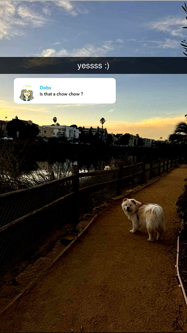 chloerosenbaum image ~ Altpins