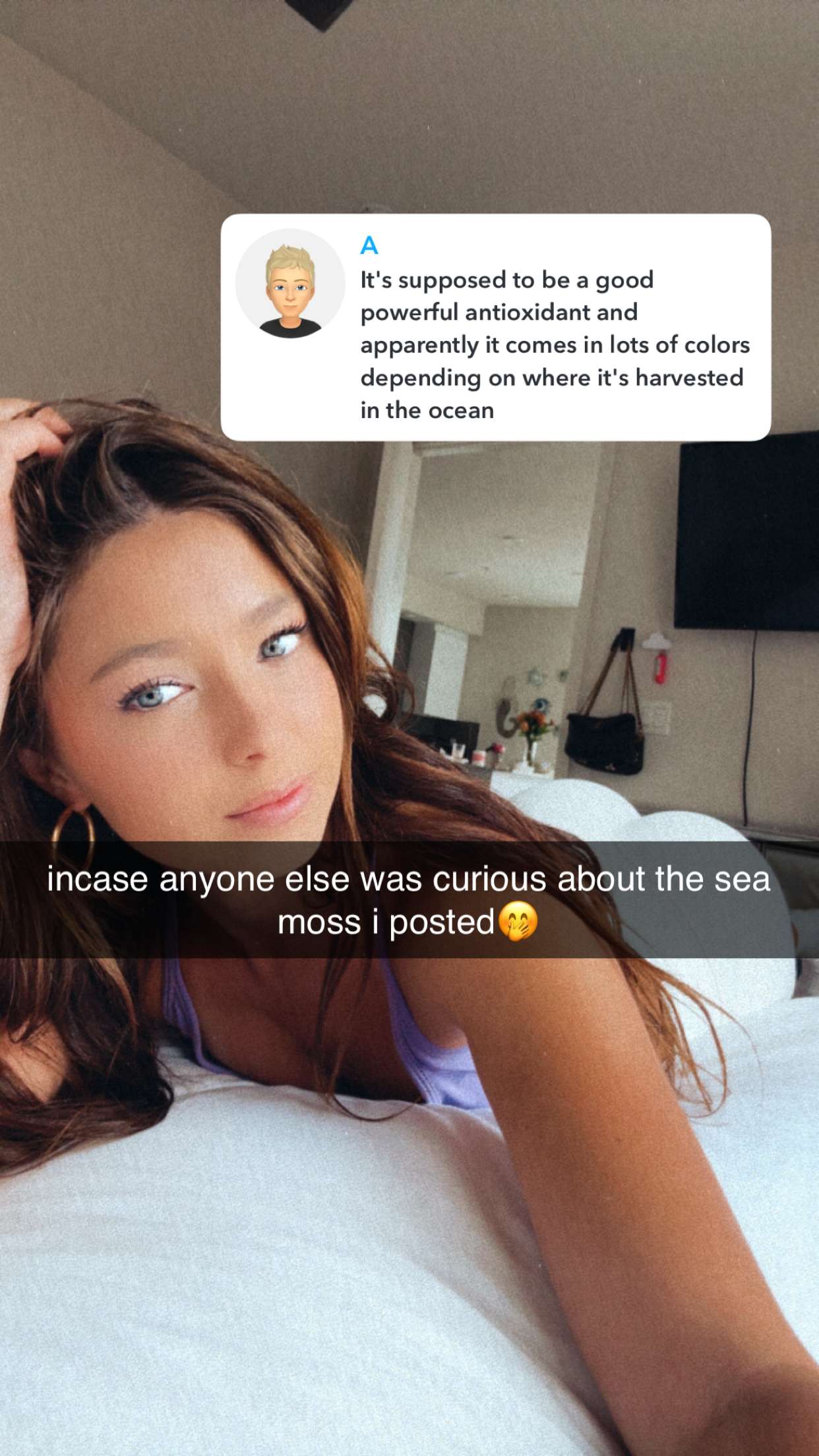 chloerosenbaum snapchat image archive image