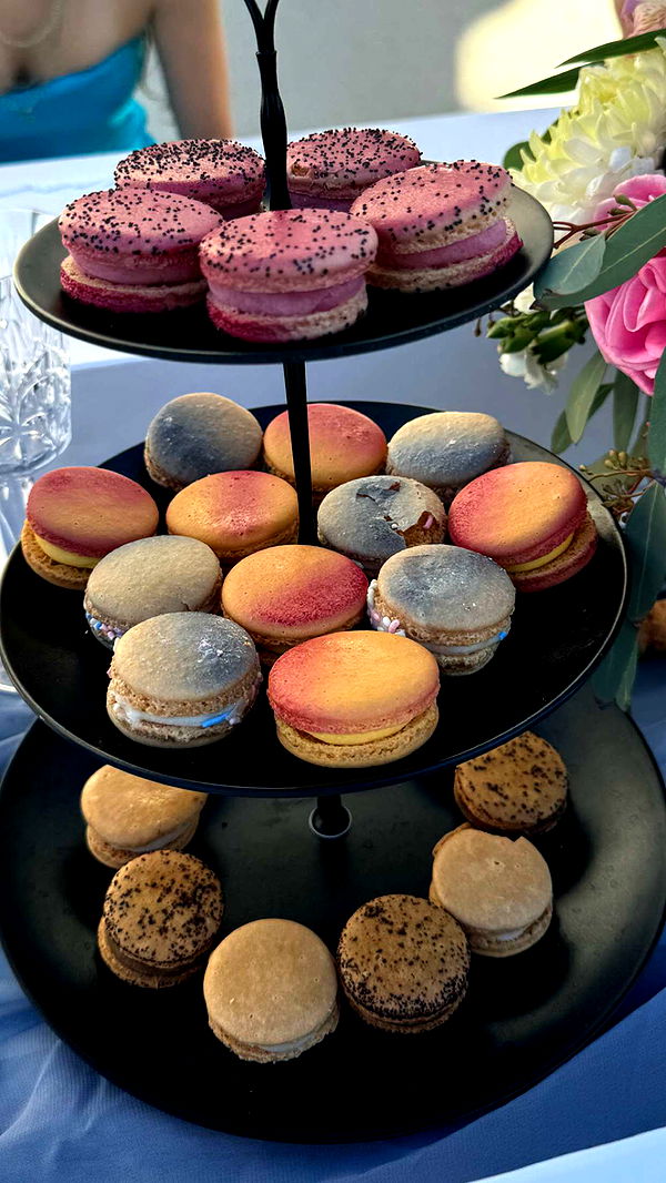 chloerosenbaum image ~ Altpins