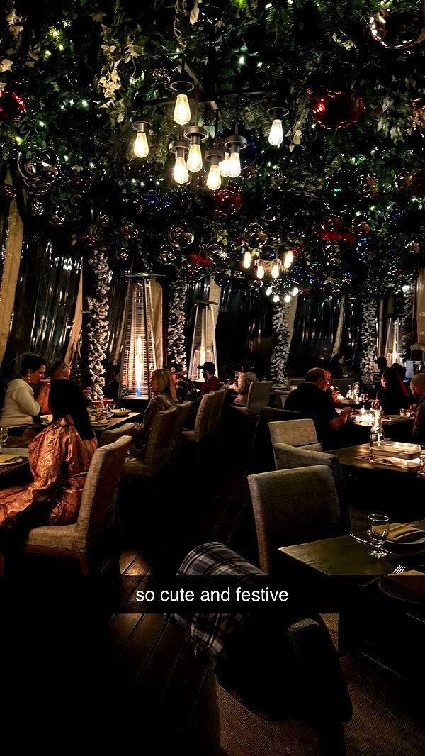 chloerosenbaum image ~ Altpins