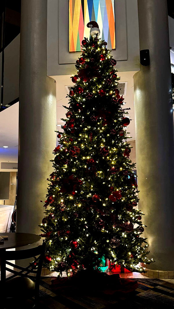 chloerosenbaum image ~ Altpins