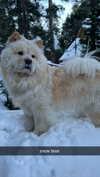 chloerosenbaum Altpins Profile Picture