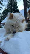 chloerosenbaum Altpins Profile Picture