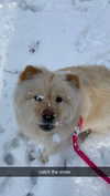 chloerosenbaum Altpins Profile Picture