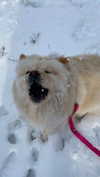 chloerosenbaum Altpins Profile Picture