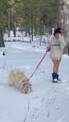 chloerosenbaum Altpins Profile Picture