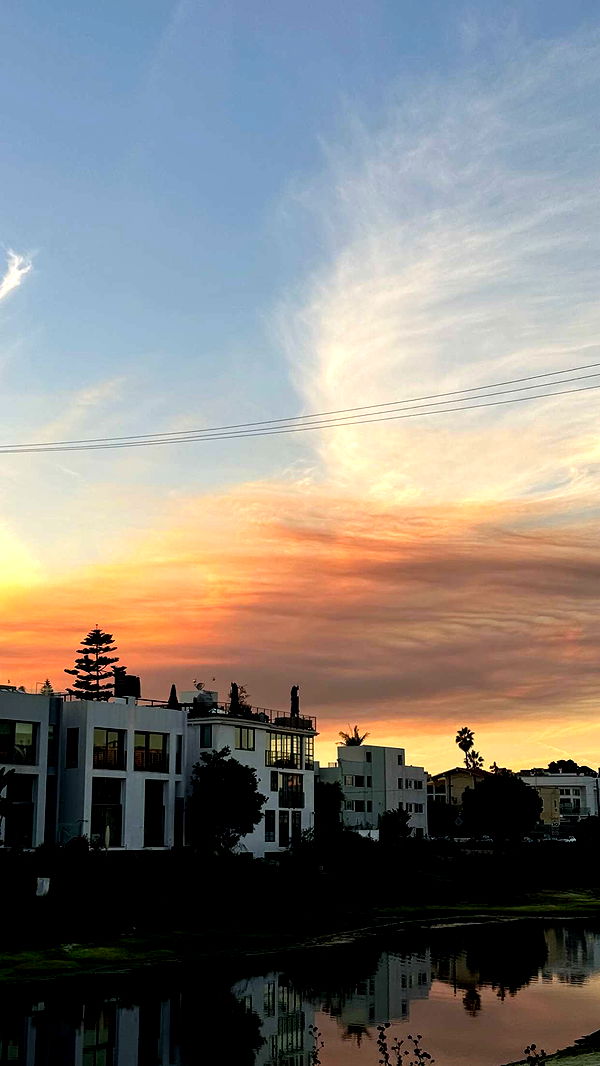 chloerosenbaum image ~ Altpins