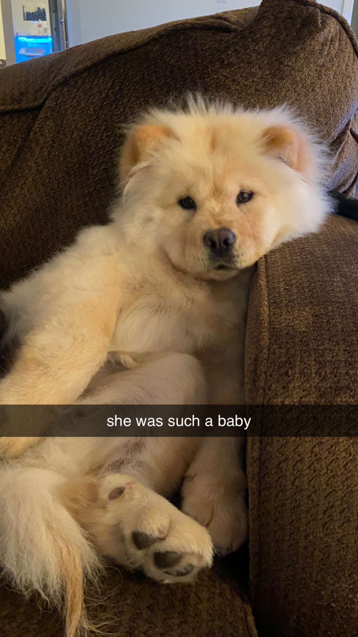 chloerosenbaum snapchat image archive image