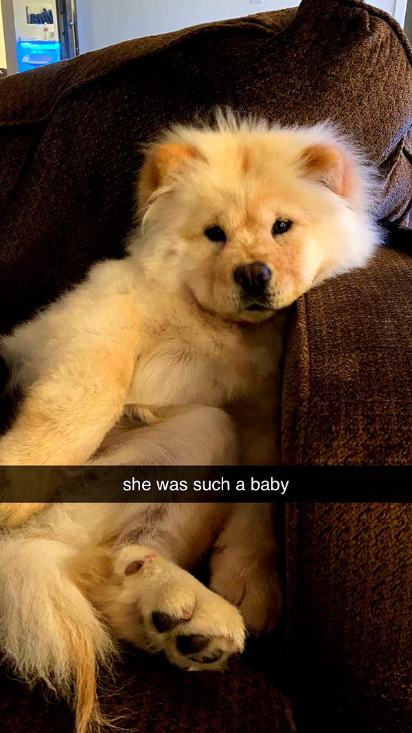 chloerosenbaum image ~ Altpins