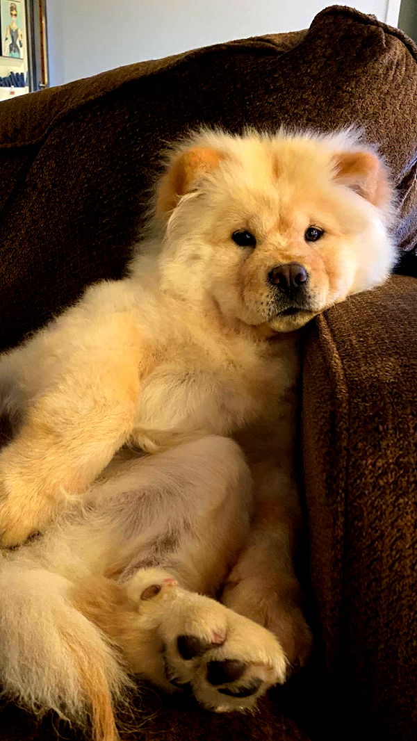 chloerosenbaum image ~ Altpins