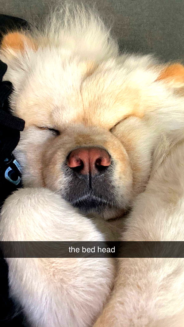 chloerosenbaum image ~ Altpins