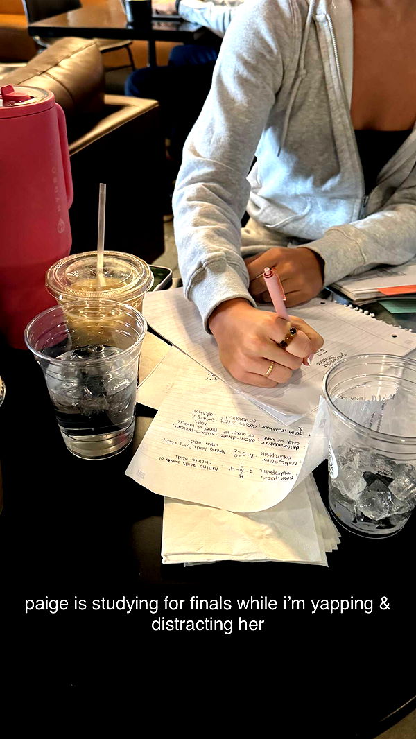 chloerosenbaum image ~ Altpins