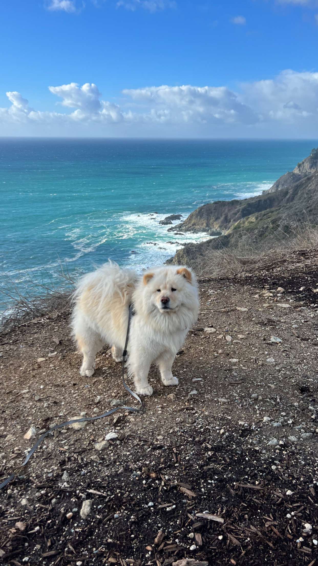 chloerosenbaum snapchat image archive image