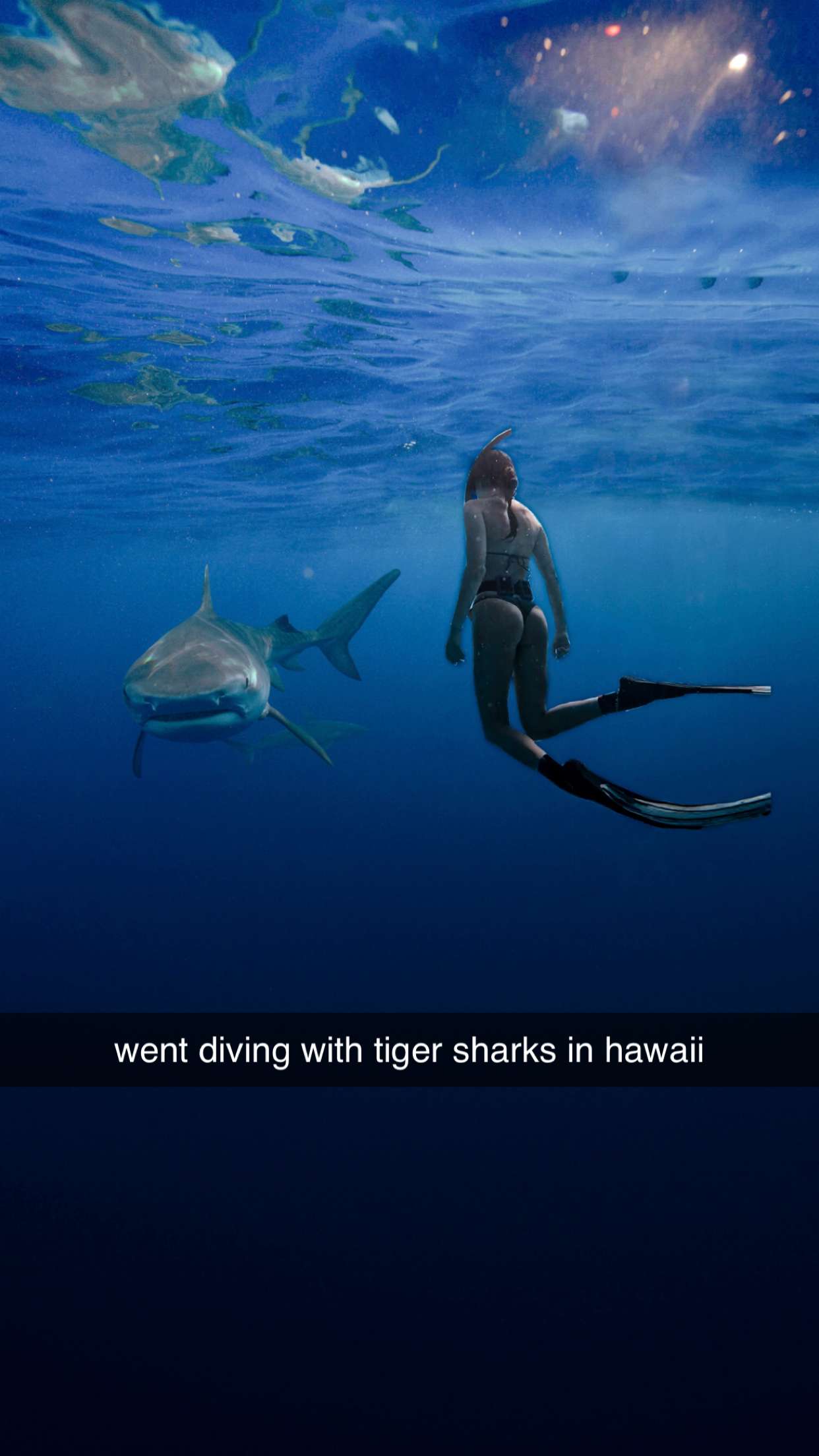 chloerosenbaum snapchat image archive image