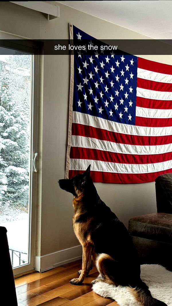 chloerosenbaum image ~ Altpins