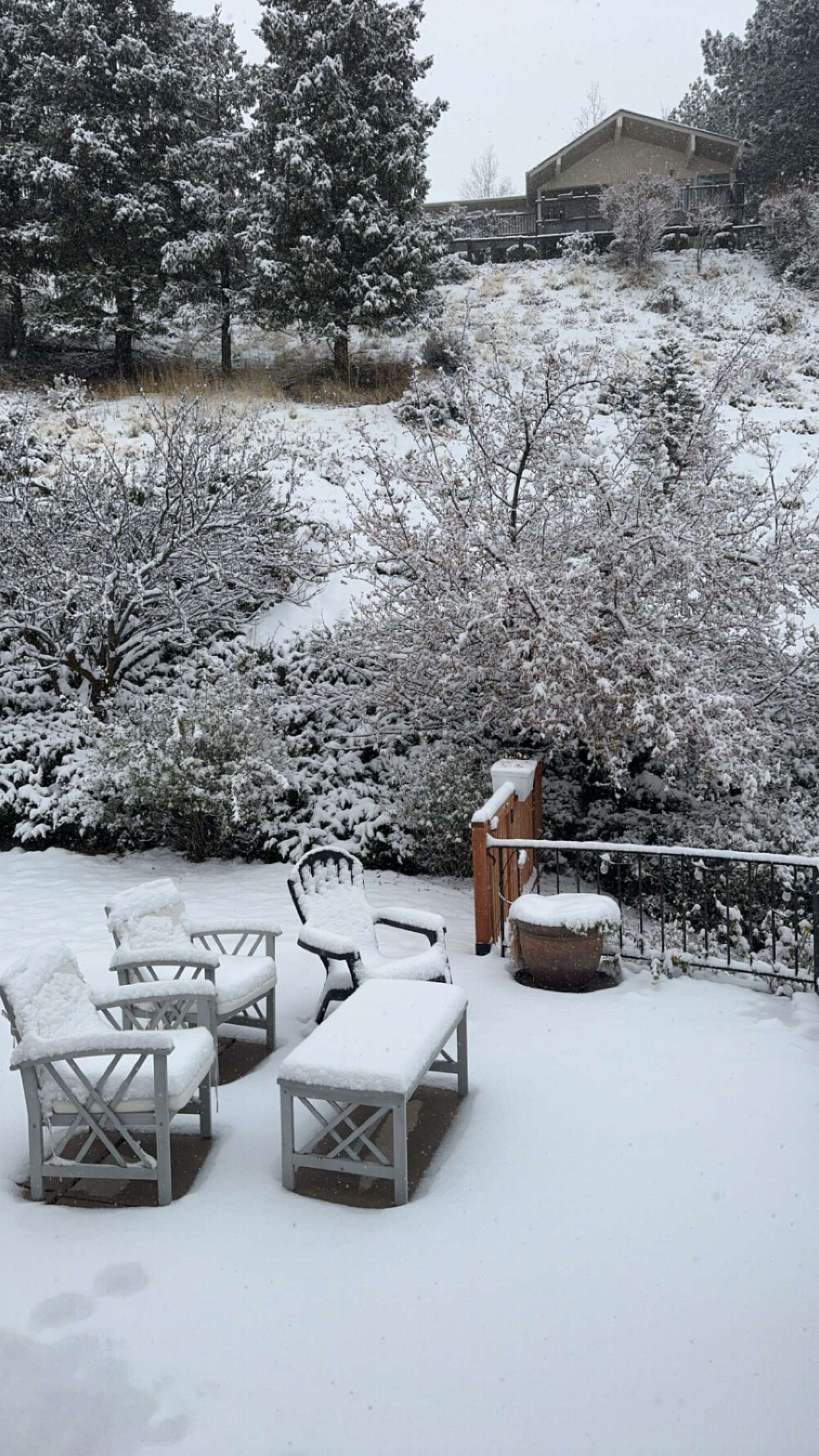 chloerosenbaum snapchat image archive image