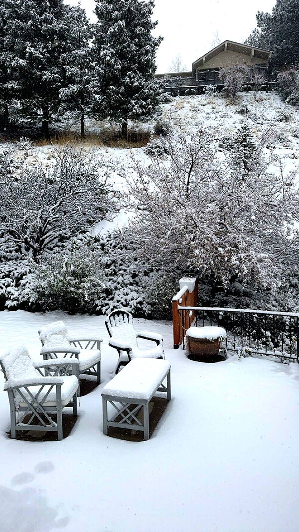 chloerosenbaum image ~ Altpins