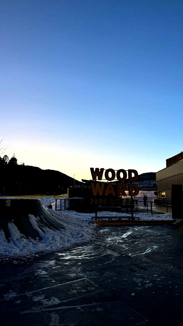 chloerosenbaum image ~ Altpins