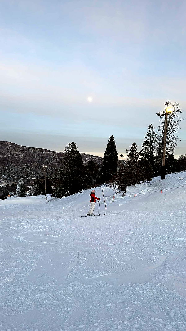 chloerosenbaum image ~ Altpins