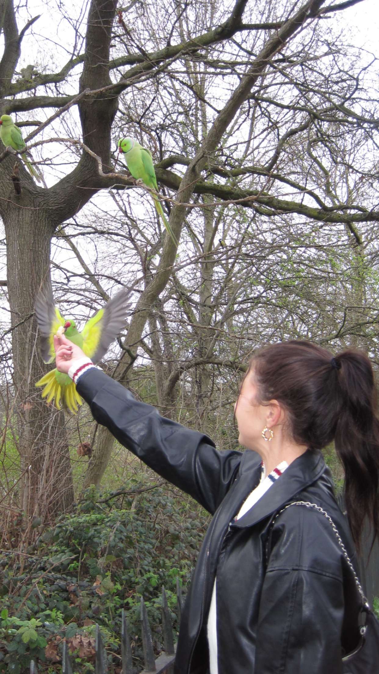 chloerosenbaum snapchat image archive image