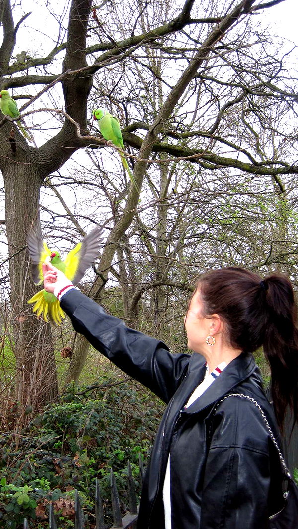 chloerosenbaum image ~ Altpins