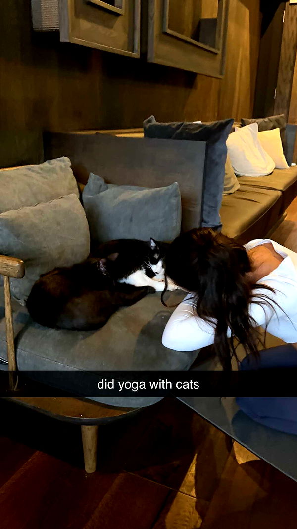 chloerosenbaum image ~ Altpins