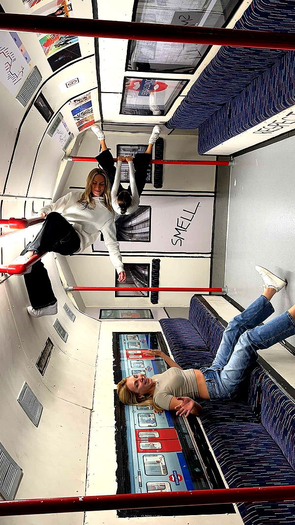 chloerosenbaum image ~ Altpins