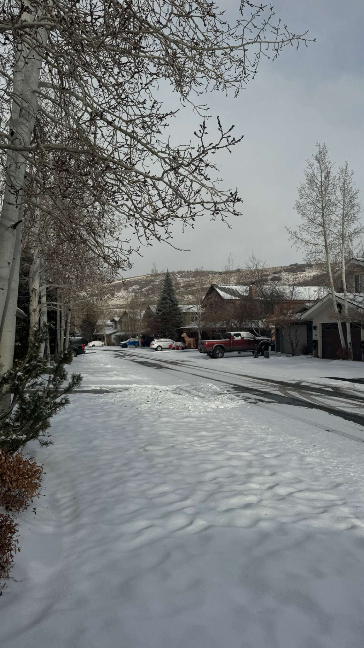 chloerosenbaum snapchat image archive image