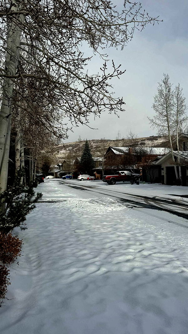 chloerosenbaum image ~ Altpins