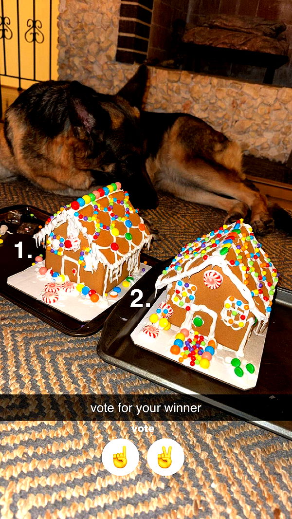 chloerosenbaum image ~ Altpins