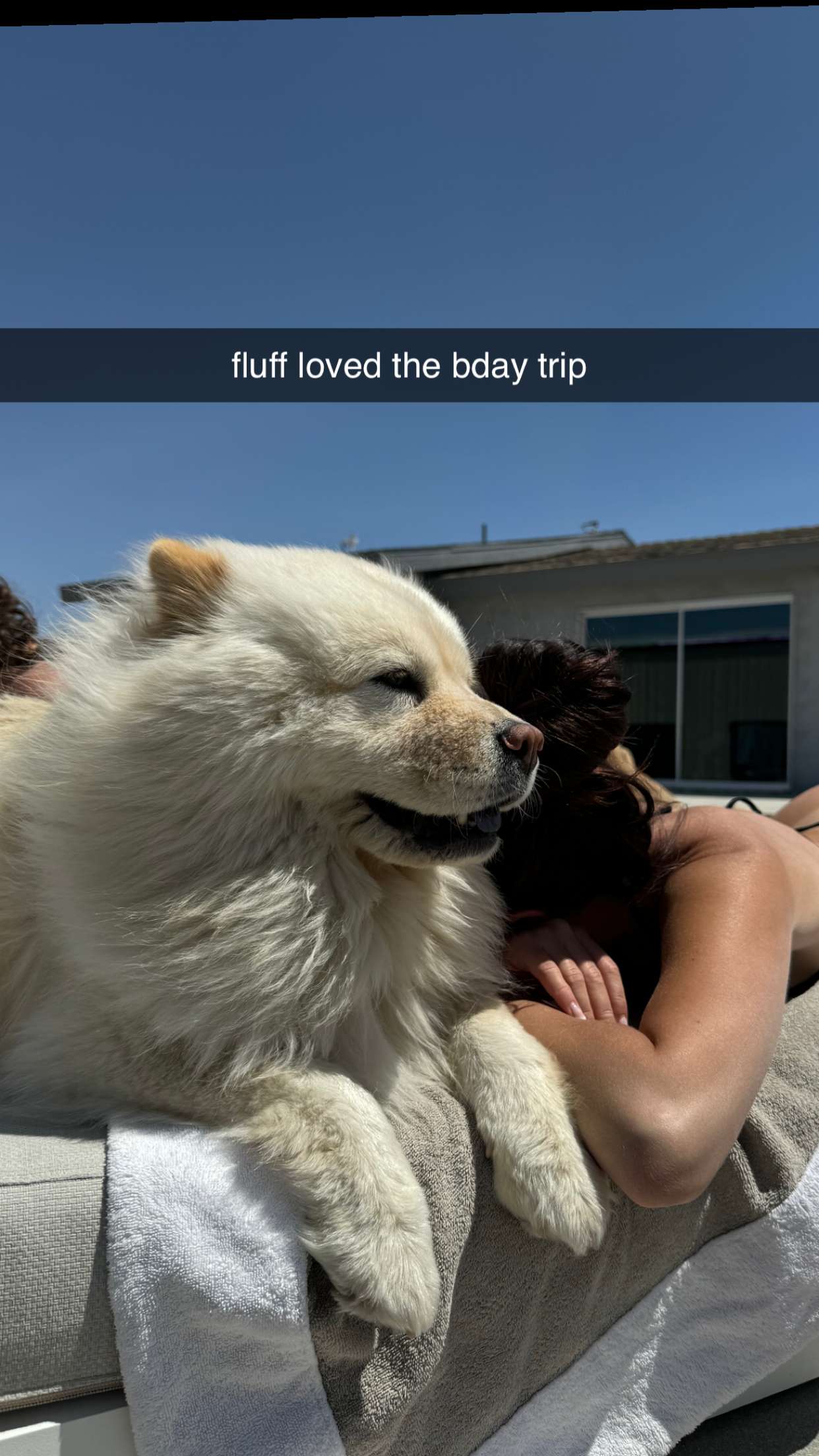 chloerosenbaum snapchat image archive image