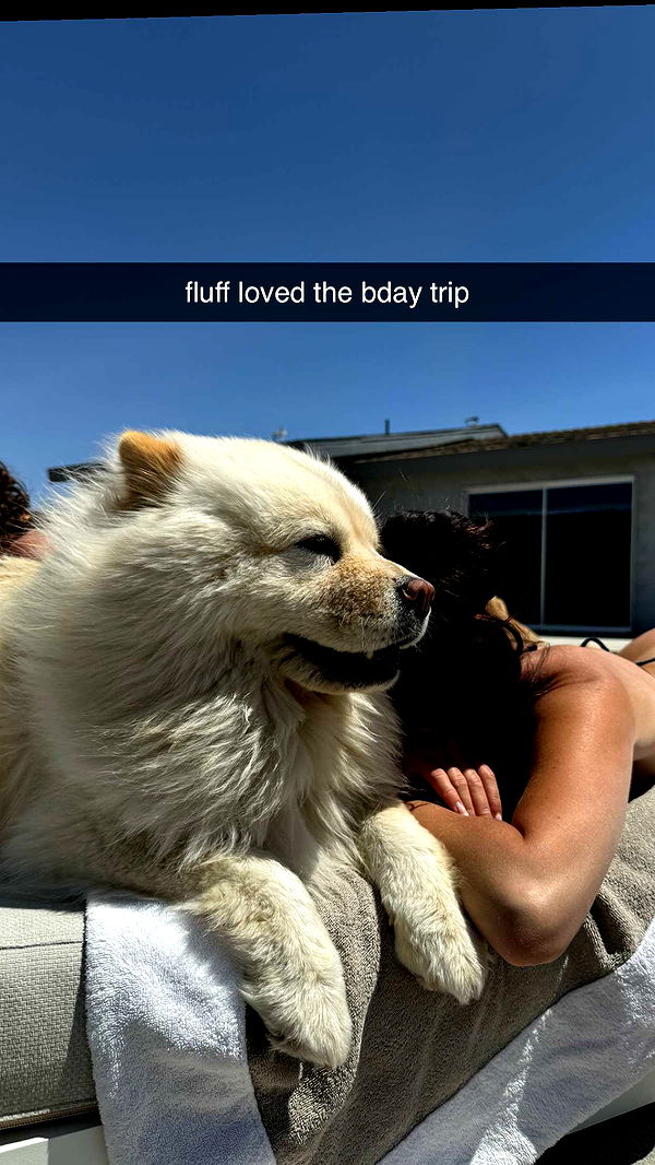 chloerosenbaum image ~ Altpins